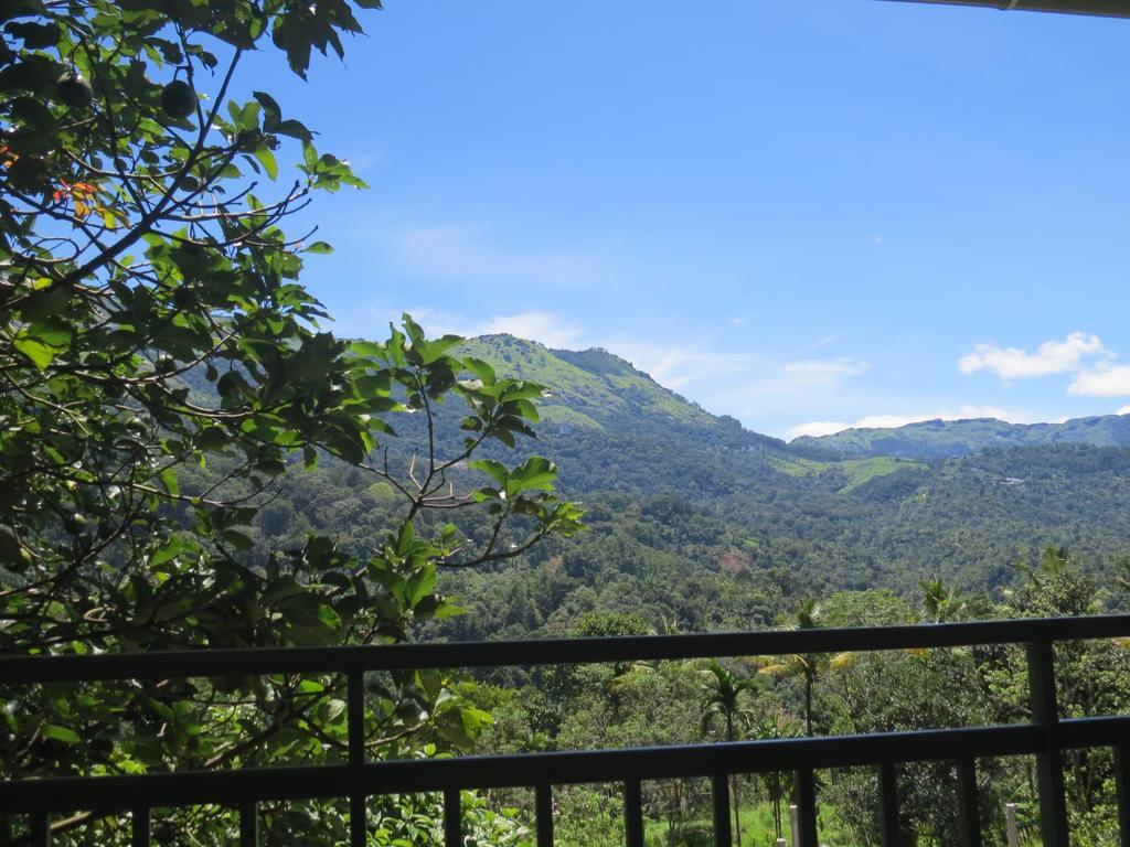 Mistletoe Homestay & Cafe Munnar Exterior photo